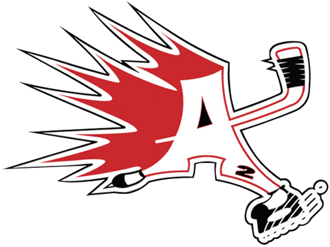 Agosta's High Performance Hockey Academy